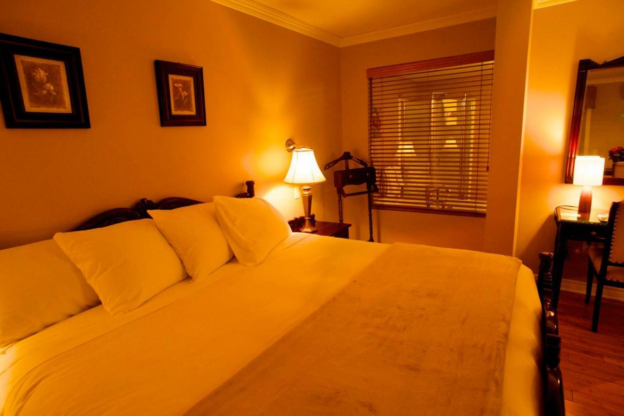 Appart hôtel St-sauveur Lovely Piedmont